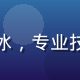 偷拍视频平台技术总监陈若冰，专业技术人员形象，眼神专注智慧