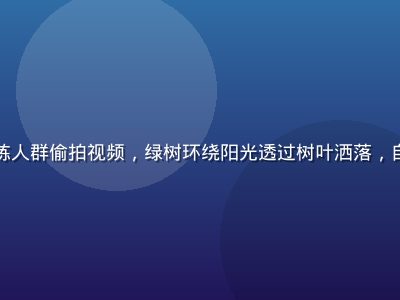 公园清晨晨练人群偷拍视频，绿树环绕阳光透过树叶洒落，自然纪实风格